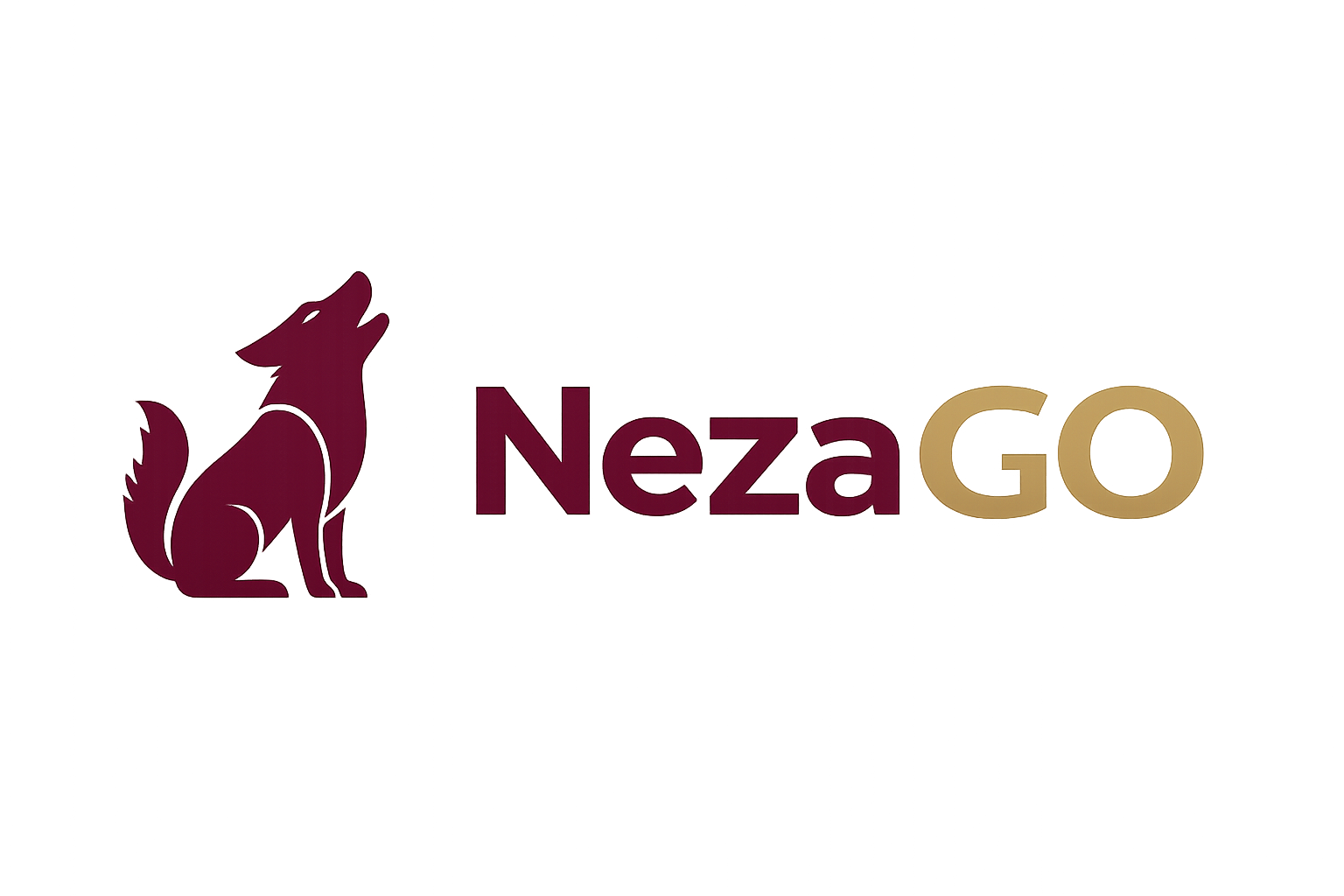 NezaGo